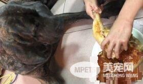 狗狗偷吃被训话 一脸超无辜硬挤泪珠