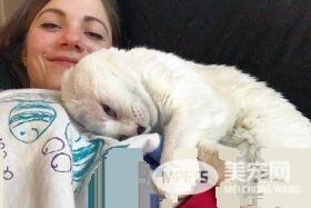 焦虑症女孩领养无耳猫 猫咪帮助下克服精神疾病