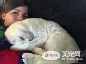 焦虑症女孩领养无耳猫 猫咪帮助下克服精神疾病