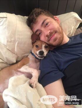 毛小孩们原来是最具潜力的小三 遇到了只能认了