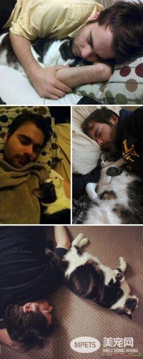 毛小孩们原来是最具潜力的小三 遇到了只能认了