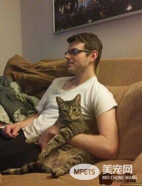 毛小孩们原来是最具潜力的小三 遇到了只能认了