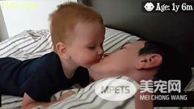 超贴心网红猫咪 每天吻醒猫奴把拔