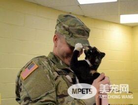 男子入收容所想收编狗狗 却意外变猫奴