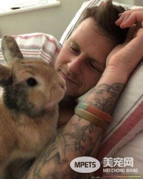 对动物无感外国男子 被温柔兔子暖化为粉丝
