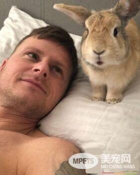 对动物无感外国男子 被温柔兔子暖化为粉丝