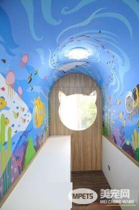 猫咪游乐园主题餐厅  成为未来流浪喵们的庇护所