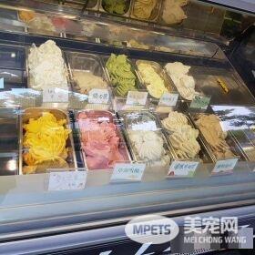 猫咪游乐园主题餐厅  成为未来流浪喵们的庇护所