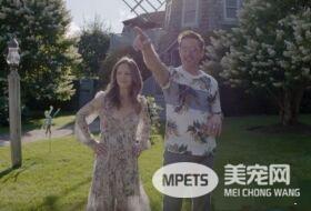 猫咪的魅力 让不爱猫的小罗勃道尼化身超级猫奴