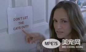 猫咪的魅力 让不爱猫的小罗勃道尼化身超级猫奴