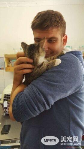 流浪盲眼猫 用爱与勇气获真命猫奴