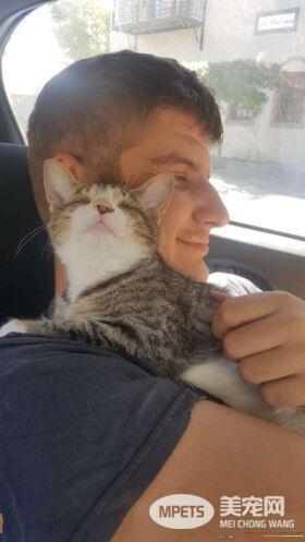 流浪盲眼猫 用爱与勇气获真命猫奴