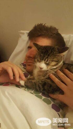 流浪盲眼猫 用爱与勇气获真命猫奴