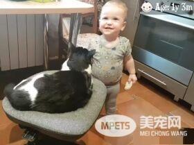 亲猫狂 人类弟弟超爱他的猫哥哥