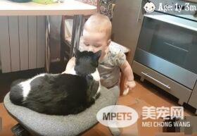 亲猫狂 人类弟弟超爱他的猫哥哥