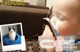 亲猫狂 人类弟弟超爱他的猫哥哥