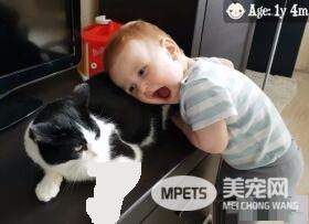 亲猫狂 人类弟弟超爱他的猫哥哥