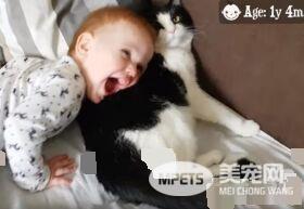 亲猫狂 人类弟弟超爱他的猫哥哥