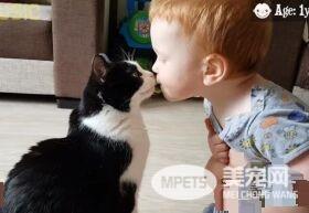 亲猫狂 人类弟弟超爱他的猫哥哥