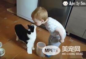 亲猫狂 人类弟弟超爱他的猫哥哥