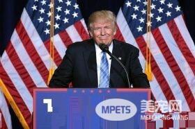 养狗成风尚，来看看美国“皇家御狗”风采