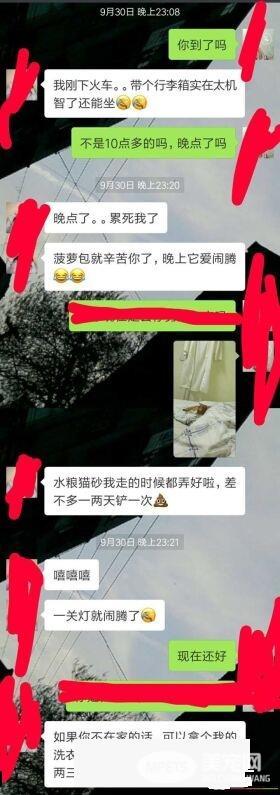 早出晚归的程序员如何在一个租的12平的小房间里养一只猫？