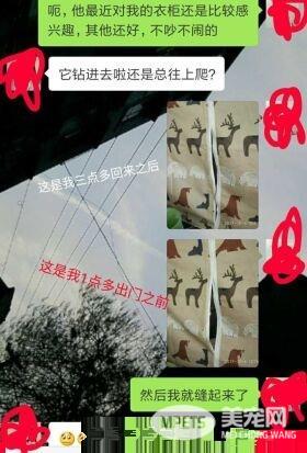 早出晚归的程序员如何在一个租的12平的小房间里养一只猫？