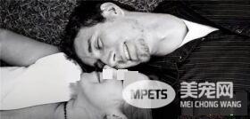 这只小猫的意外出现，却改变了一个美国大兵的一生，我也想要一只