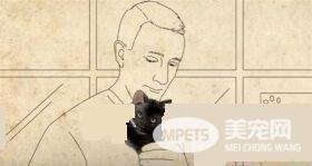 这只小猫的意外出现，却改变了一个美国大兵的一生，我也想要一只