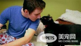 这只小猫的意外出现，却改变了一个美国大兵的一生，我也想要一只