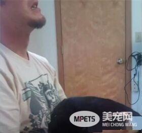 这只小猫的意外出现，却改变了一个美国大兵的一生，我也想要一只