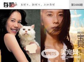 这些明星养的宠物 莫文蔚为离世宠物猫做唱片