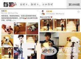 这些明星养的宠物 莫文蔚为离世宠物猫做唱片