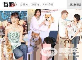 这些明星养的宠物 莫文蔚为离世宠物猫做唱片