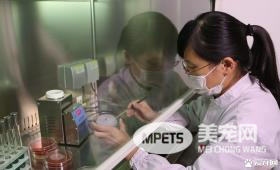 颜值高得不像实力派! “Wanpy”品牌新装令人耳目一新