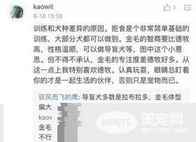 军犬与一般的狗都有啥区别？从“吃”就可看出来