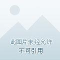 军犬与一般的狗都有啥区别？从“吃”就可看出来
