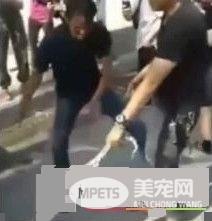 蟒蛇竟也会怕冷 3公尺长巨蟒钻引擎盖取暖