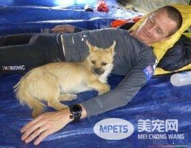 超马好手请半年无薪假 赴中国陪爱犬检疫