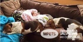 4个月大女孩患重病 在狗狗的陪伴下发生奇迹