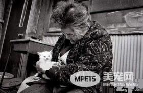 老奶奶和猫咪形影不离 但白猫因慢性肾衰竭而过世了