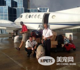 undefined{{pos:,w:,h:}}