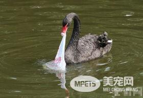 undefined{{pos:,w:,h:}}