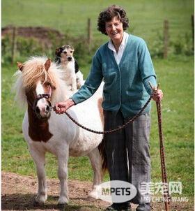 狗狗酷爱骑马 吸引大批群众特地前往其家来观看