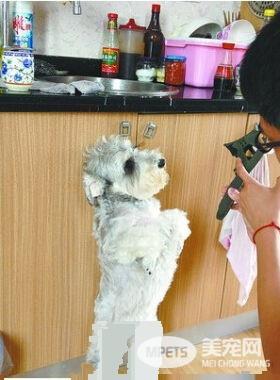 个性的漂亮格格 爱吃醋又淘气