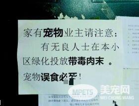 丧心病狂 一周内小区11条宠物狗被毒死