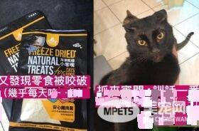 黑猫自己开柜子找寻罐罐痕迹 咦?罐罐在哪咧