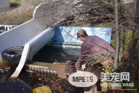 男子在废弃乐园探险拍片 偶遇二狗意外成救狗英雄
