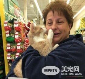 橘猫经历过二次死劫 幸遇救命恩人撒娇表谢意