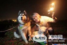我们的缘分还没结束 爱犬离世后梦小婴儿对我笑